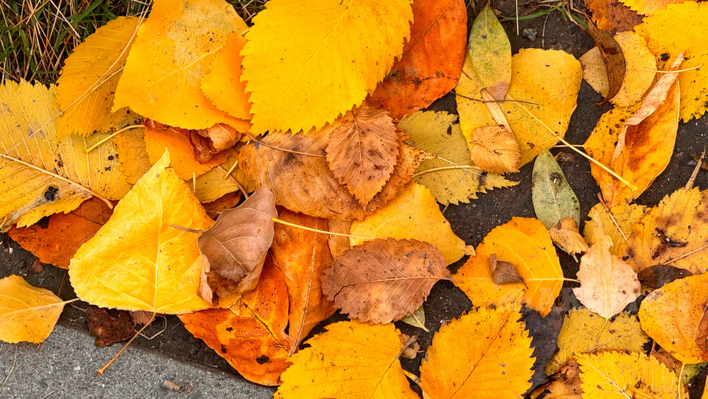 местами дождь и снег ожидаются в узбекистане и кыргызстане: погода в понедельник, 14 октября 2024