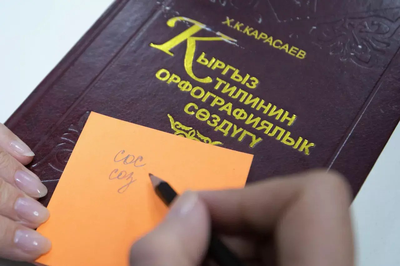 в кыргызстане установят уровни владения кыргызским языком для госслужащих: какой и для кого уровень потребуется