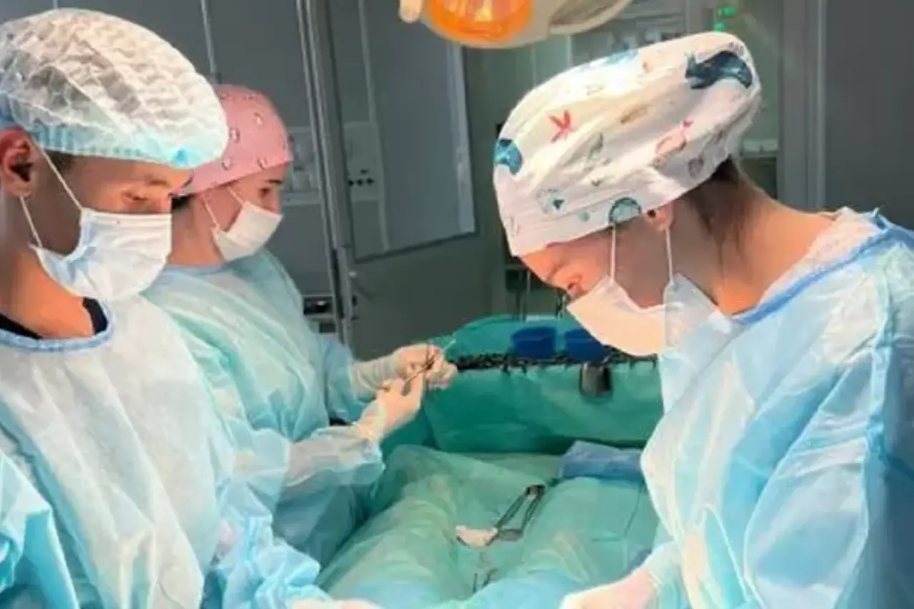 ужасная находка: из желудка малышки в казахстане извлекли килограмм волос