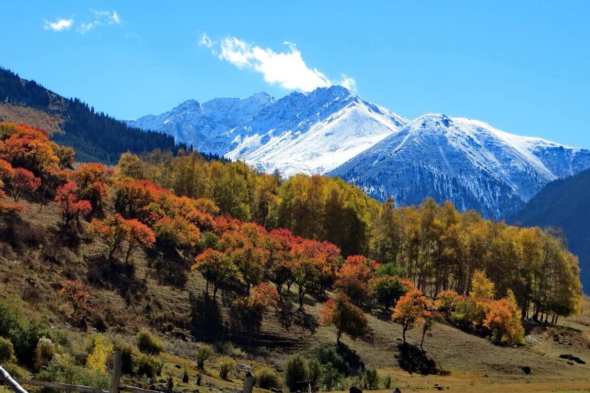 погода, в странах центральной азии, 13 сентября 2023 года: в алма-ате +19, в бишкеке +20