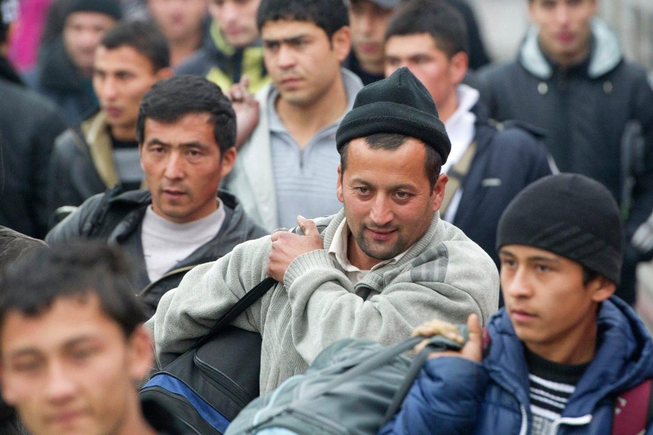 иностранцам для въезда в россию потребуется qr-код