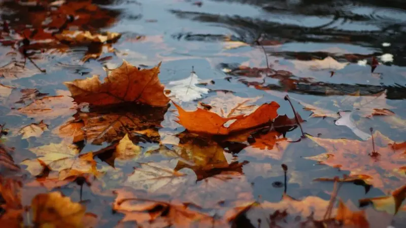 осадки и морозы до -7 градусов ожидаются в казахстане: погода во вторник, 24 сентября 2024