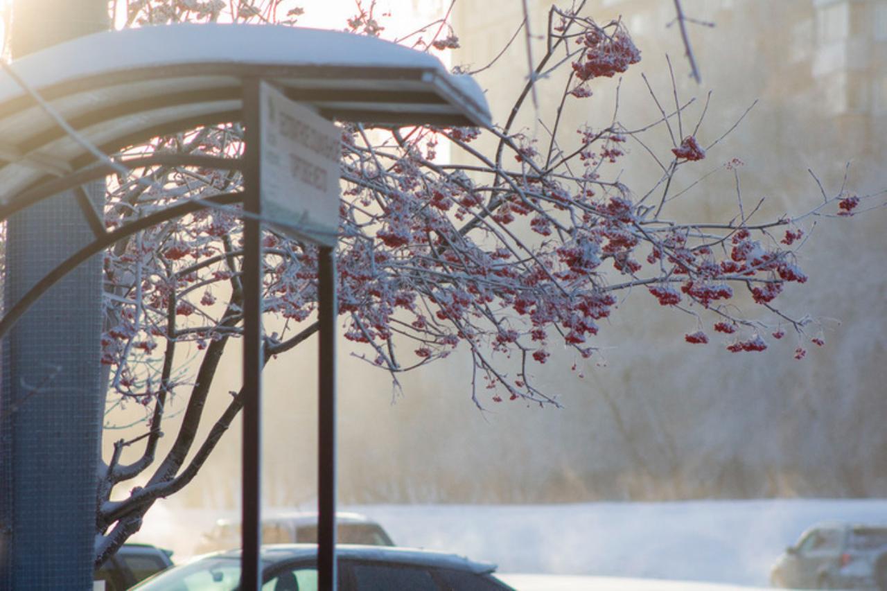 что обещают синоптики жителям центральной азии во вторник, 11 февраля 2025