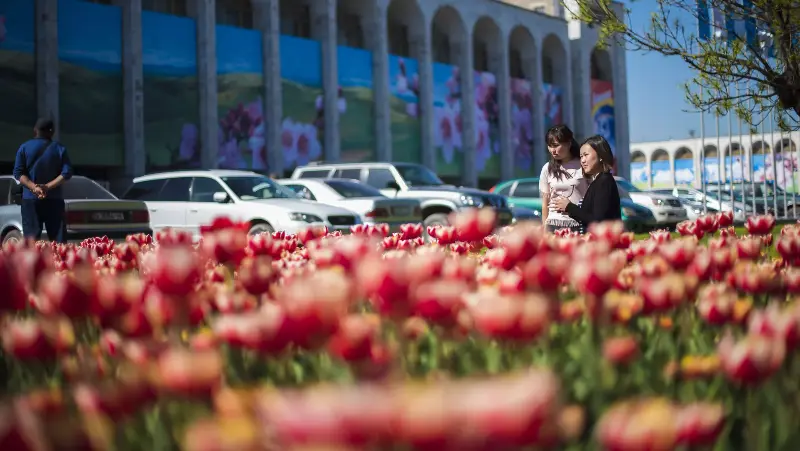 весенний день: погода в странах центральной азии в четверг, 11 апреля 2024