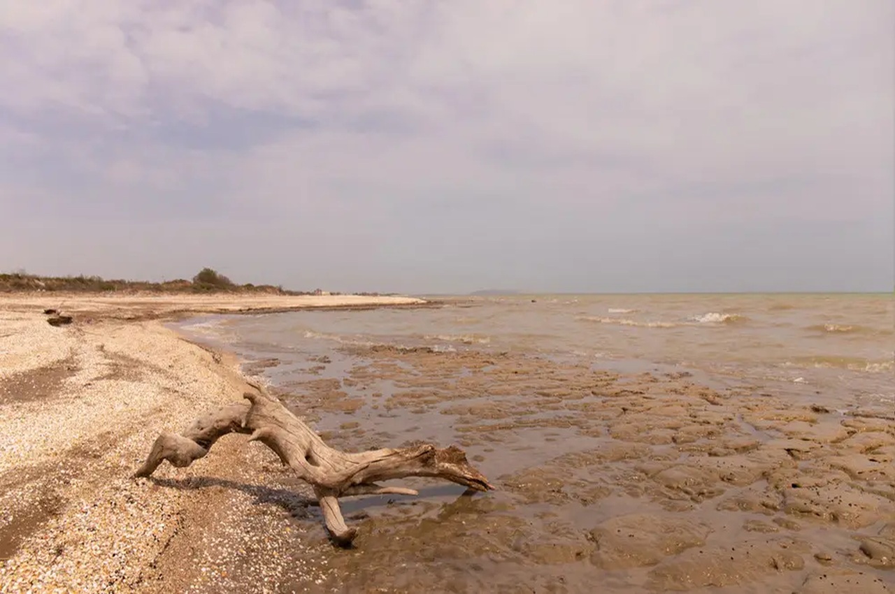 уровень каспийского моря может стабилизироваться на отметке около -29 метров