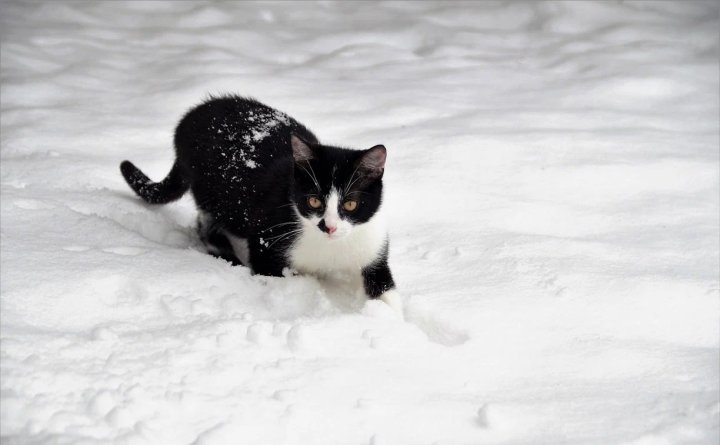 какой будет погода в центральной азии во вторник, 10 декабря 2024