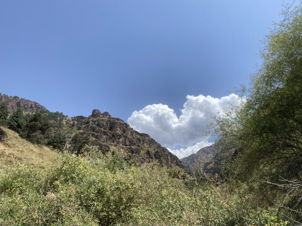 жарко и без осадков в узбекистане, дожди в горах кыргызстана: погода во вторник, 13 августа 2024