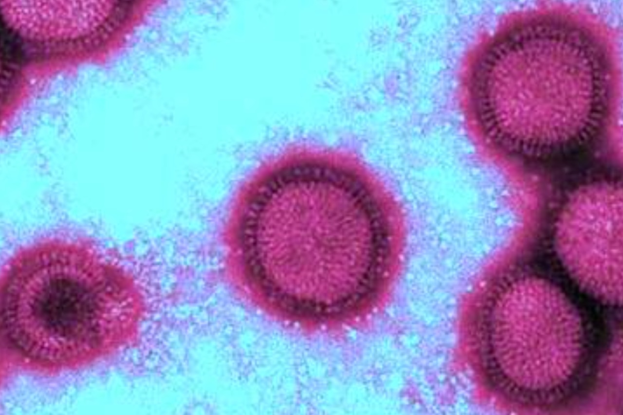 массовое отравление детей произошло в жамбылской области казахстана