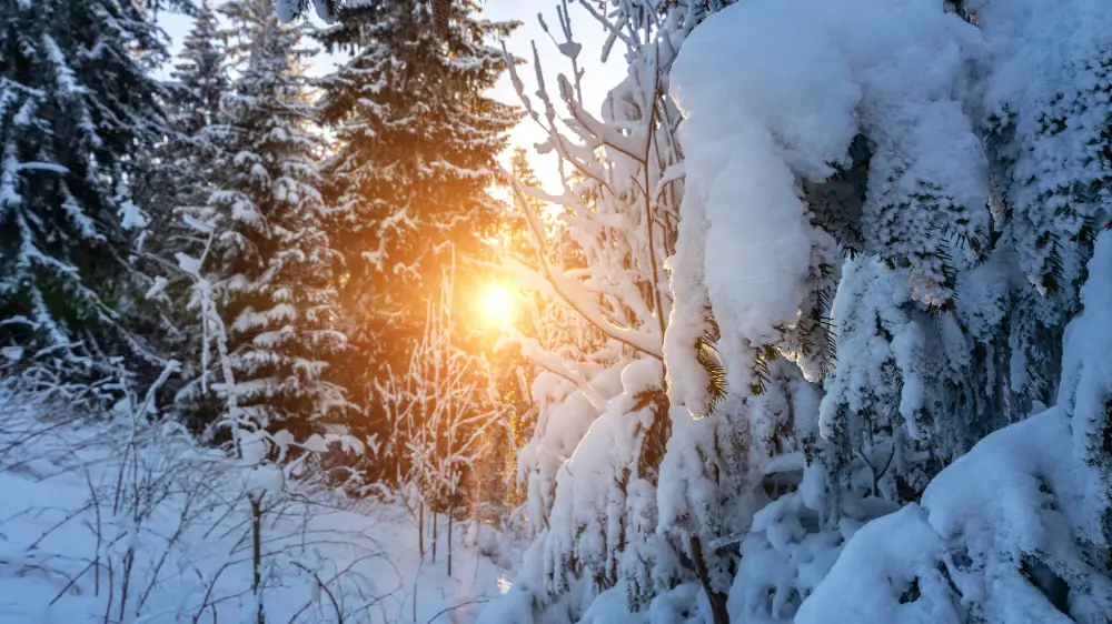 какой будет погода в центральной азии во вторник, 3 декабря 2024