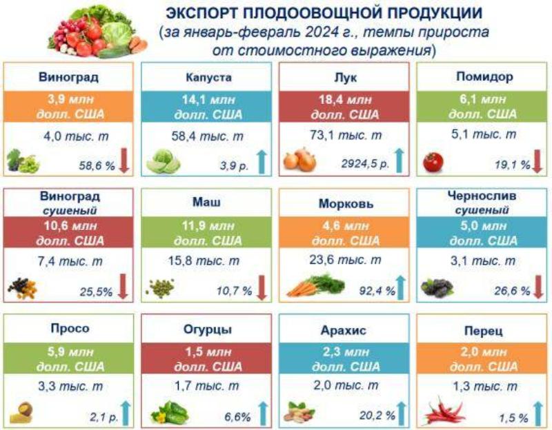 более $150 млн на продаже фруктов и овощей заработал узбекистан за два месяца 2024 года