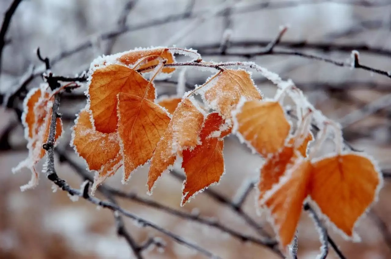 снег и понижение температуры обещают жителям казахстана на предстоящей неделе со 2 по 9 ноября 2025 года