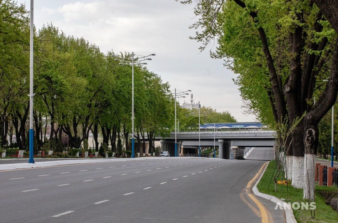 во время вечерних молитв в ташкенте будут закрывать улицы  для проезда транспорта (список)