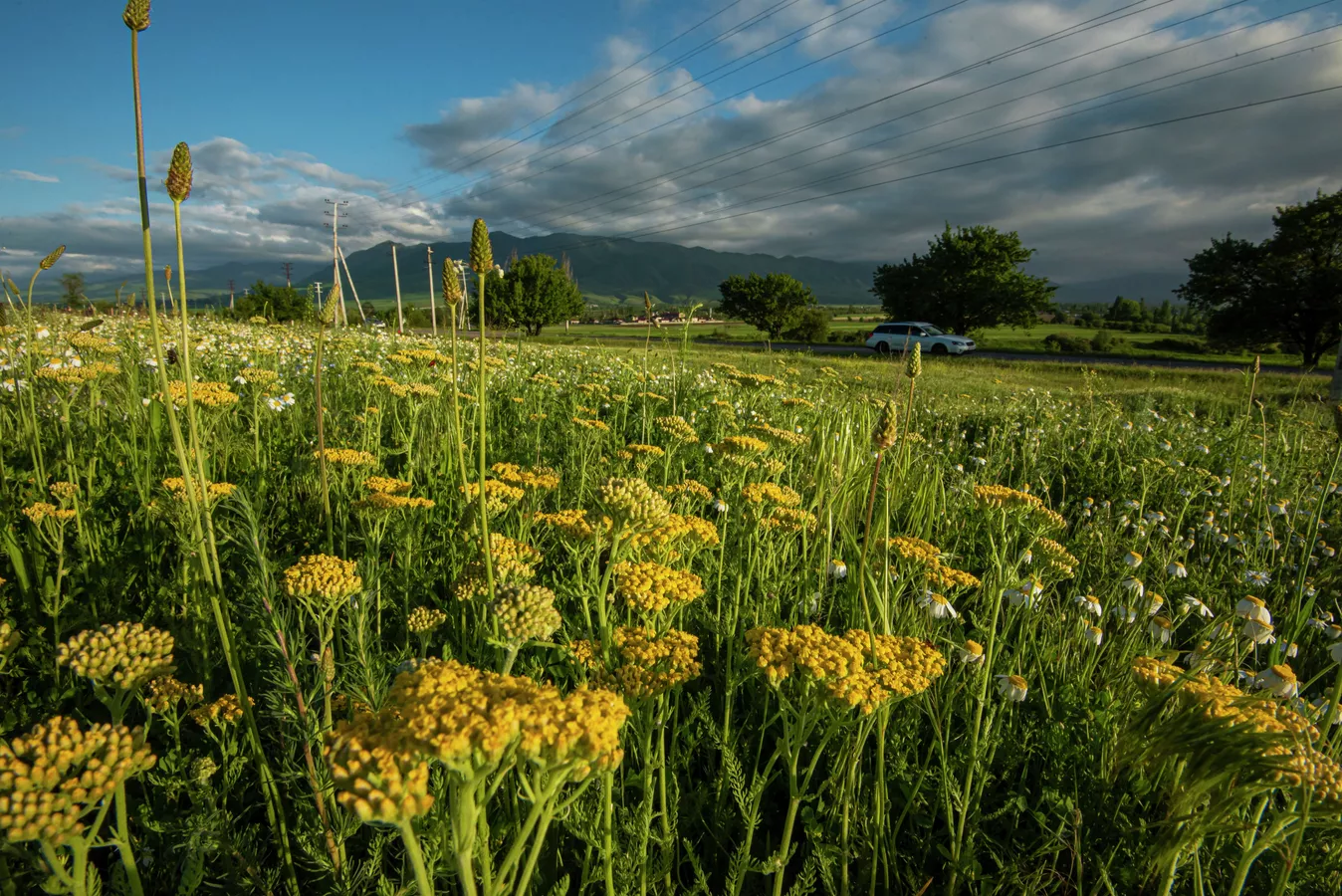 жара до +45 в казахстане, в узбекистане без осадков, в кыргызстане возможны сели: погода в субботу и воскресенье, 3 и 4 августа 2024