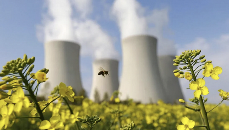 референдум по аэс хотят провести этой осенью в казахстане