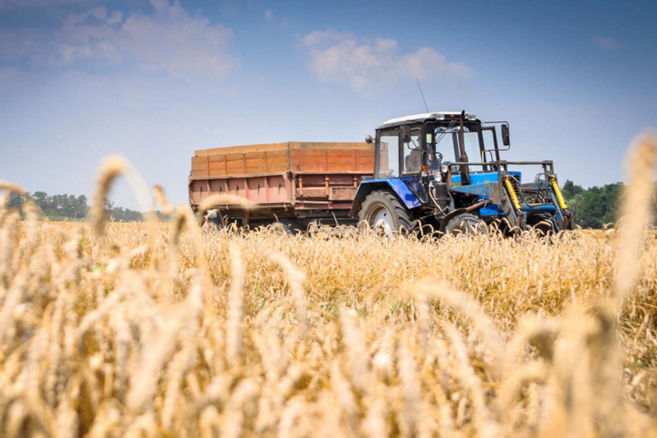 еаэс за 10 лет на 25% нарастил производство сельхозпродукции