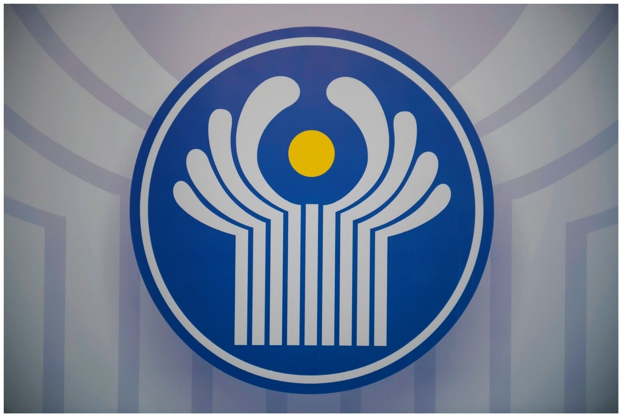 победителем кинофестиваля стран снг в бишкеке стала режиссер из белоруссии