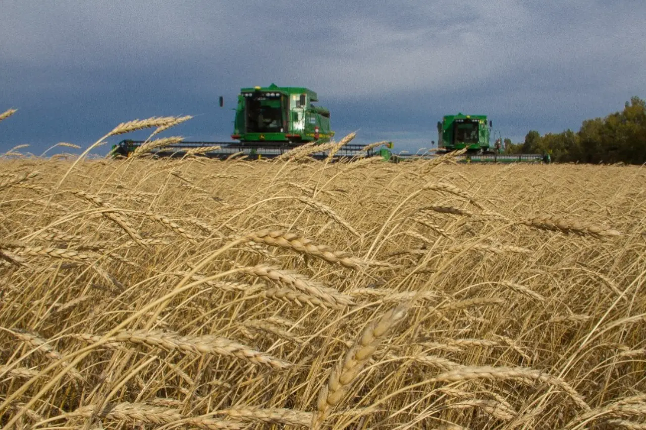 россия сняла ограничения на ввоз сельхозпродукции из казахстана