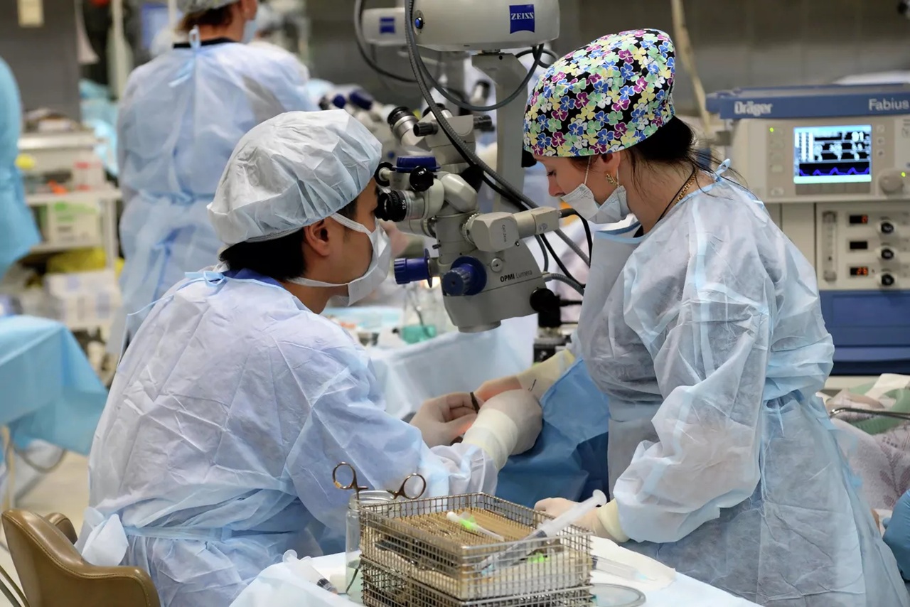 снг объявил 2026 год годом охраны здоровья: эксперты утвердили масштабный план совместных действий