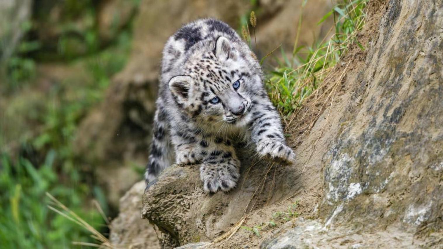 погода, в странах центральной азии, 2 июля 2023 года: в алма-ате +34, в ташкенте +38