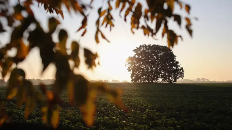 дожди и усиление ветра в узбекистане, без осадков в кыргызстане: погода в понедельник, 21 октября 2024