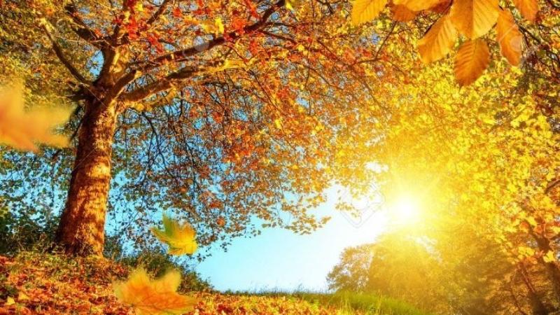 тепло и солнечно в узбекистане, в горах кыргызстана возможны осадки: погода в среду, 9 октября 2024