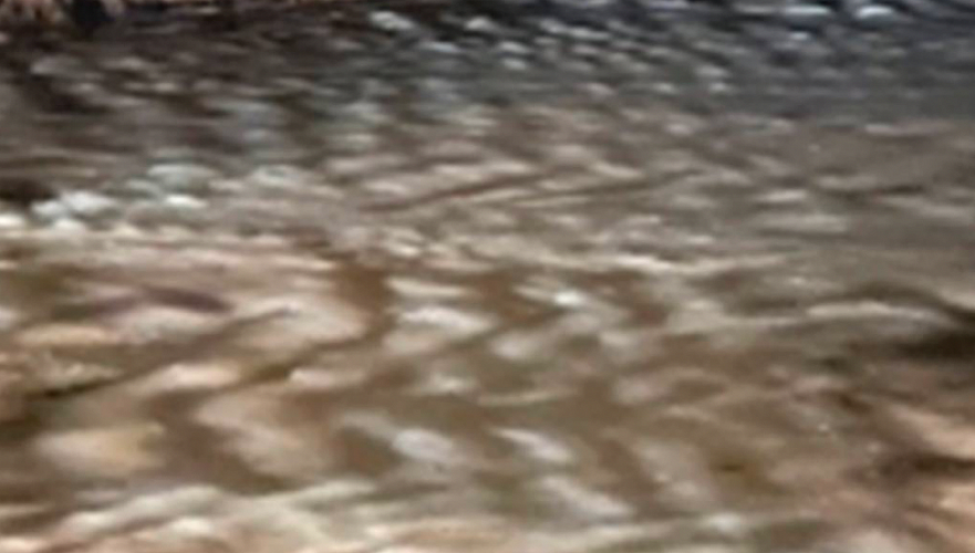 паводок в казахстане: на границе с россией закрыли пункт пропуска