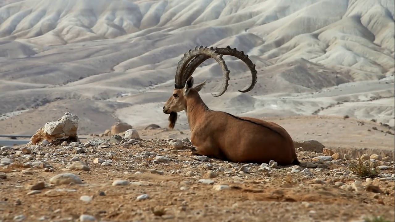 погода, в странах центральной азии, 7 сентября 2023 года: в алма-ате +24, в ташкенте +32