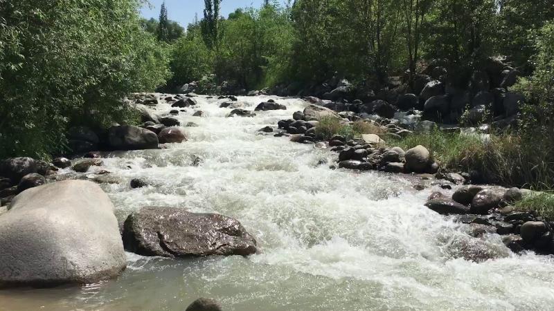 тело новорожденного ребенка обнаружили на окраине алматы 