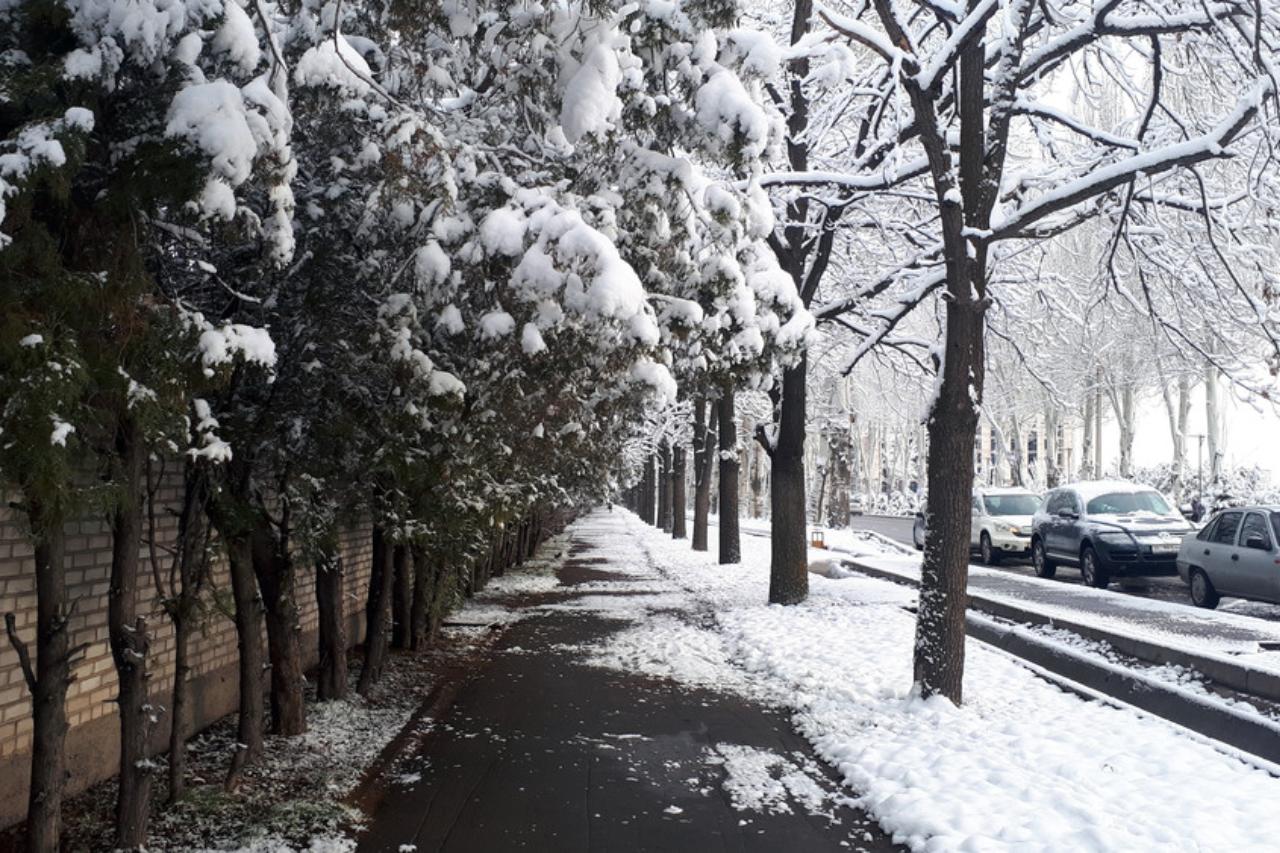 какой будет погода в странах центральной азии в пятницу, 17 января 2025