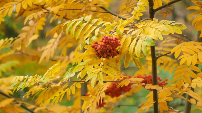 дожди уходят, ветер усилится в казахстане: погода в понедельник, 9 сентября 2024