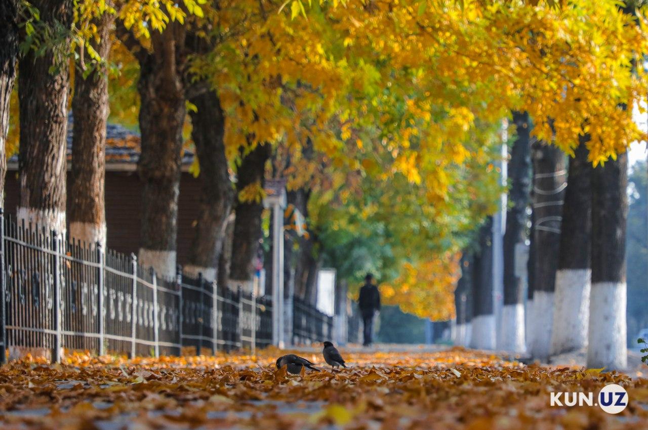 температура продолжит понижаться в центральной азии на предстоящей неделе, с 20 по 26 октября 2025 года