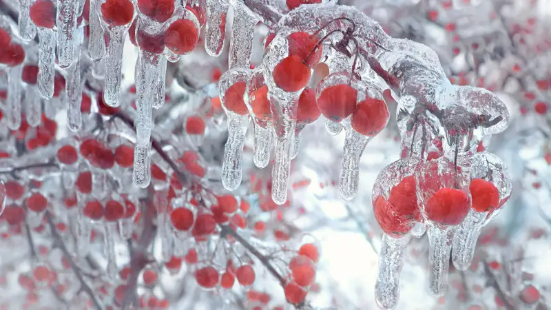 зима ослабляет хватку: погода в казахстане на 25 февраля 2024