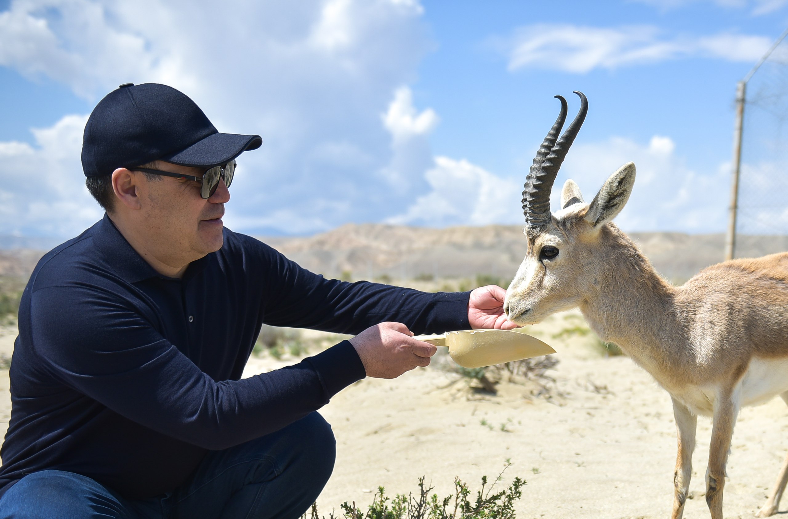 Садыр Жапаров поддержал проект по восстановлению популяции джейранов на Иссык-Куле