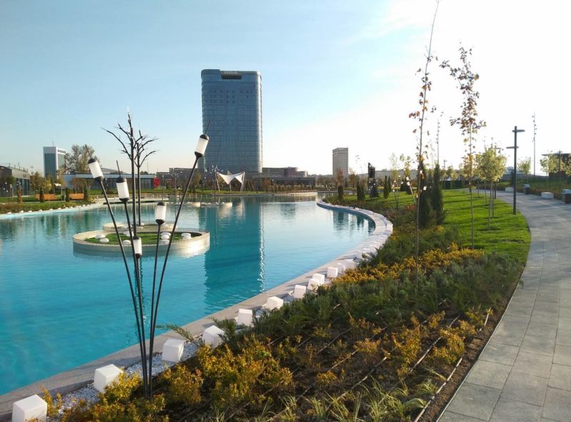 Более 200 млн деревьев высадят в Узбекистане в 2024 году