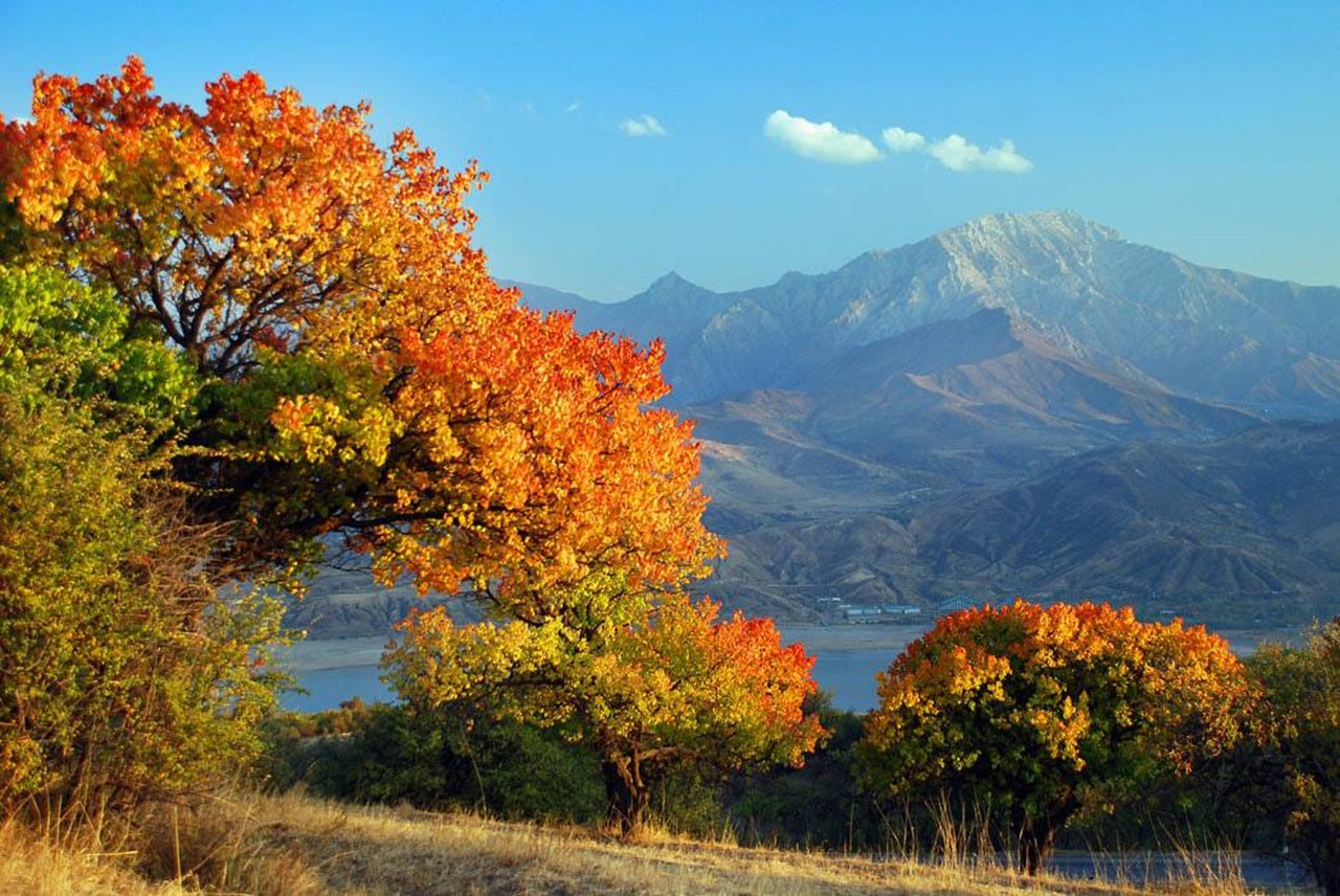 осень приблизится к центральной азии в среду, 10 сентября 2025 года