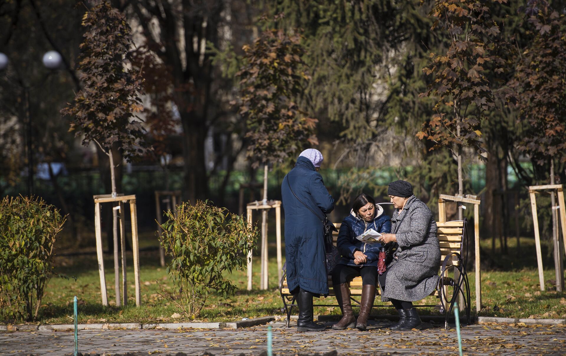 погода, в странах центральной азии, 12 ноября 2023 года: в бишкеке +8, в ашхабаде +20