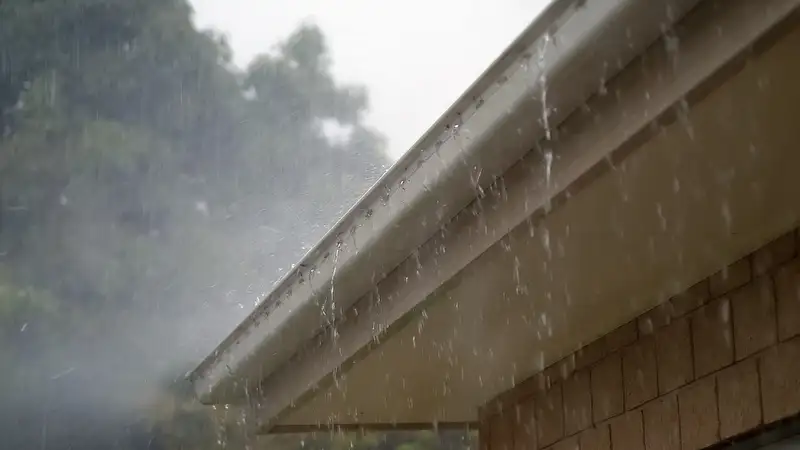 дождливо, но тепло будет в казахстане: погода во вторник, 20 августа 2024