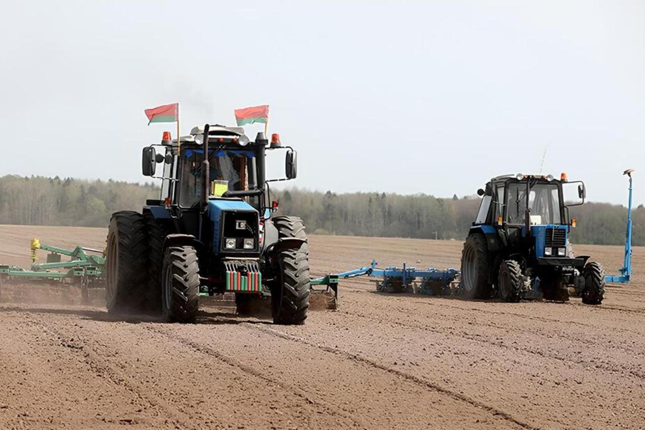 беларусь призвала снг к сотрудничеству в сфере трудоустройства в агропромышленном комплексе