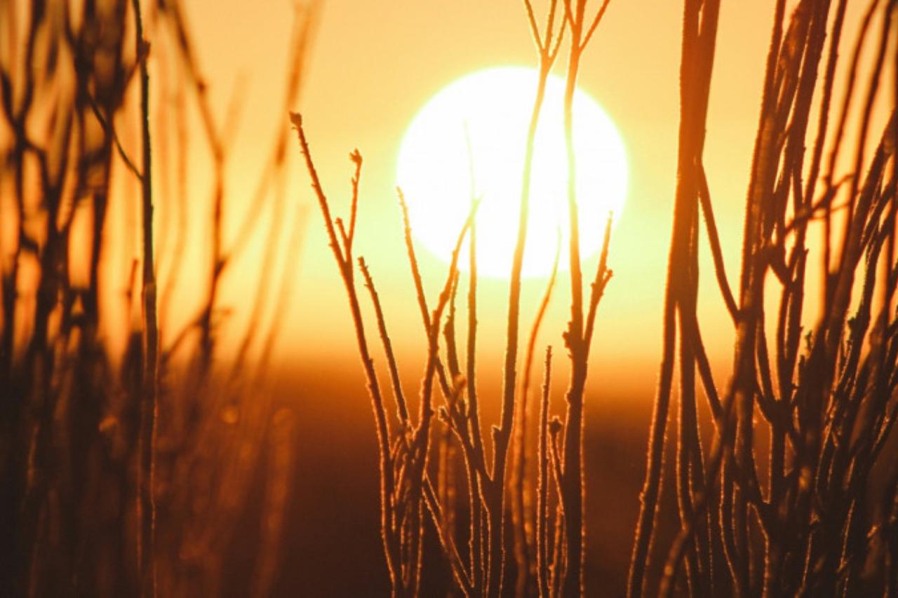 геомагнитный штиль или буря: прогноз магнитных бурь в центральной азии на майские праздники