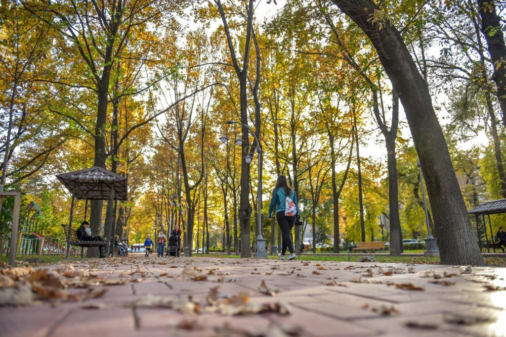 погода, в странах центральной азии, 15 ноября 2023 года: в бишкеке +16, в душанбе +19