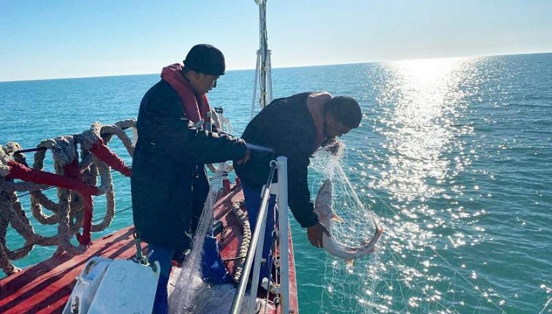 спецслужбы казахстана, рф и азербайджана задержали 53 браконьера