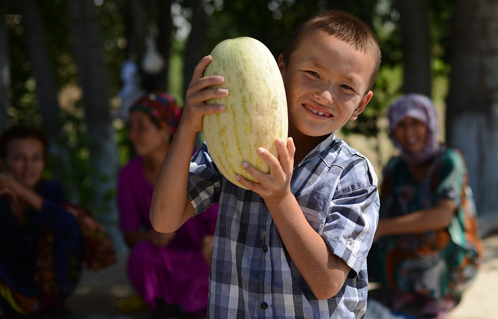 погода, в странах центральной азии, 15 августа 2023 года: в астане +22, в душанбе +34