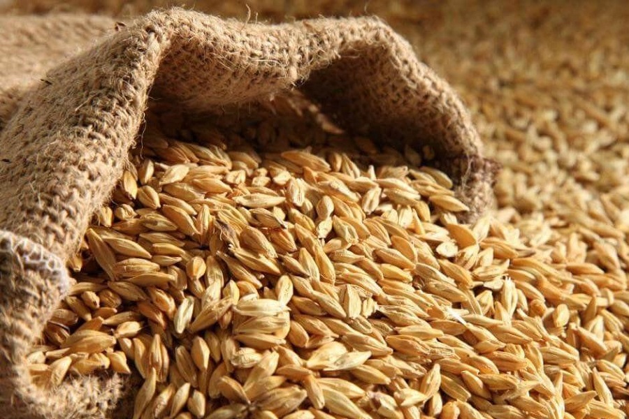 совместный российско-узбекский агрологистический комплекс открыт в джизакской области