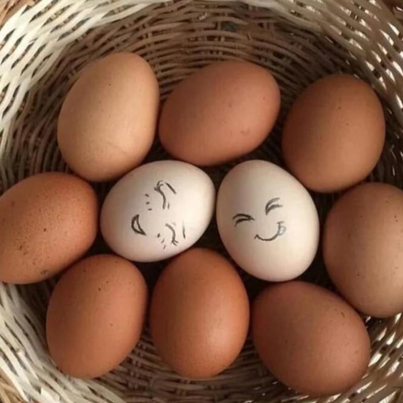 россия обратилась к казахстану с просьбой увеличить поставки куриных яиц 