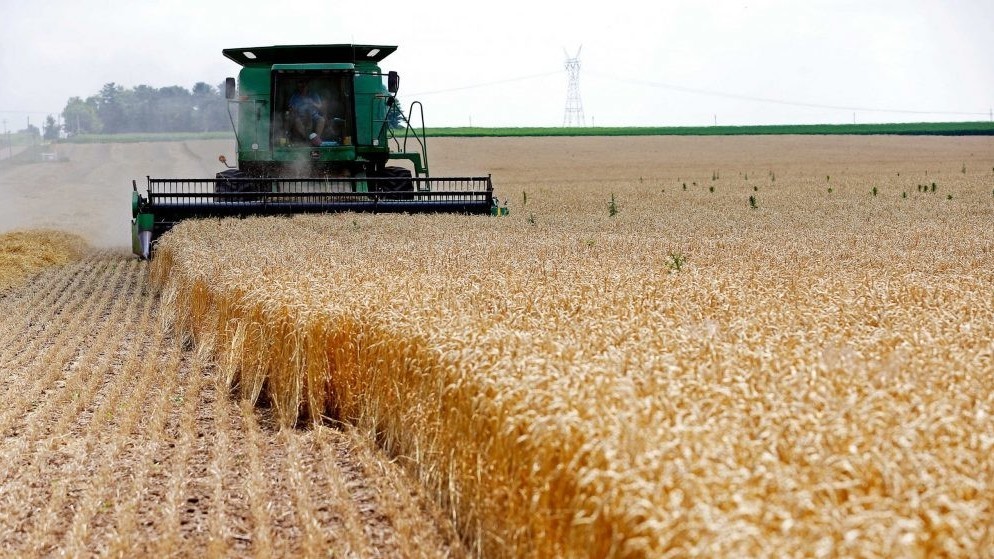 кыргызстан нарастил импорт  пшеницы из россии и казахстана