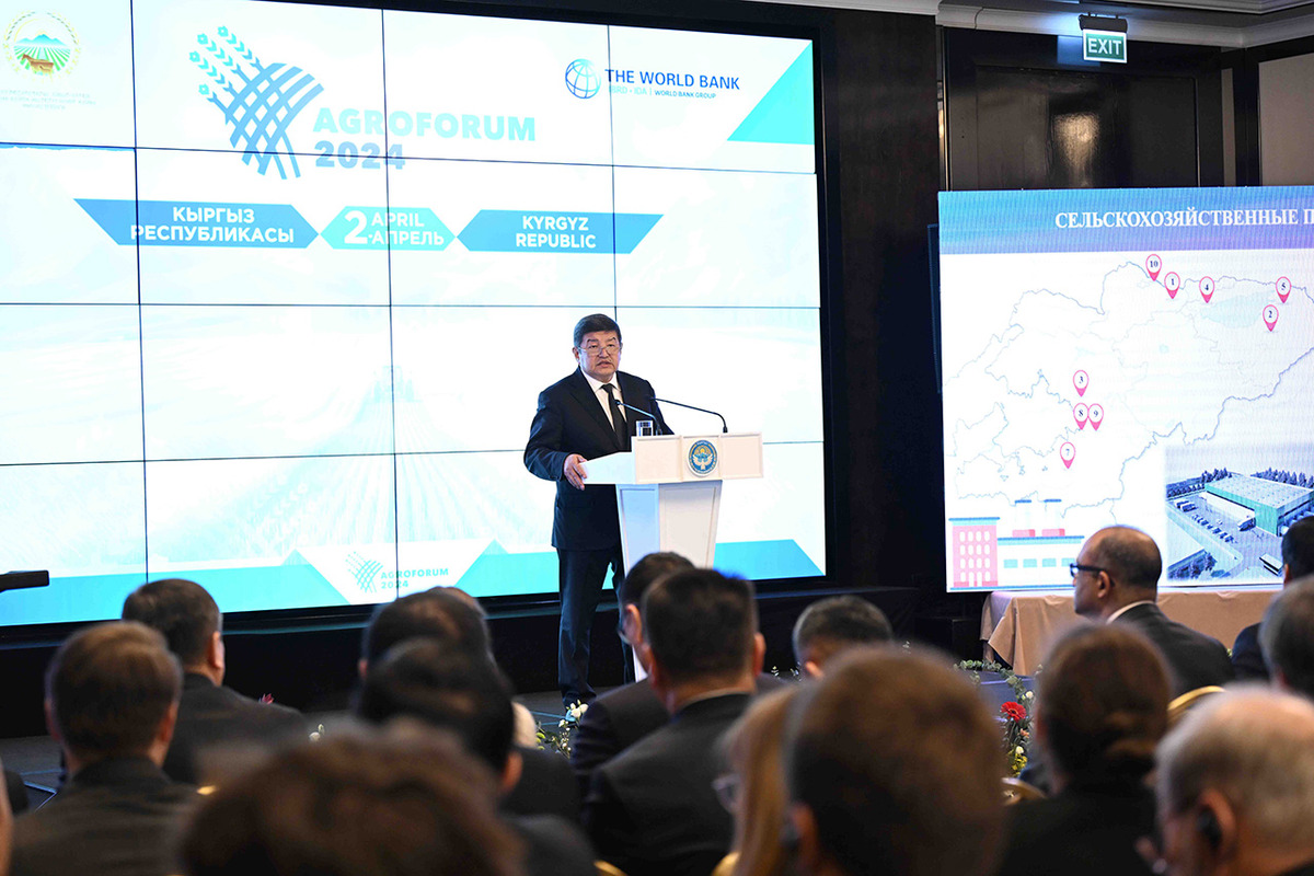 около $8 млрд потребуется для строительства железной дороги «китай - кыргызстан – узбекистан»