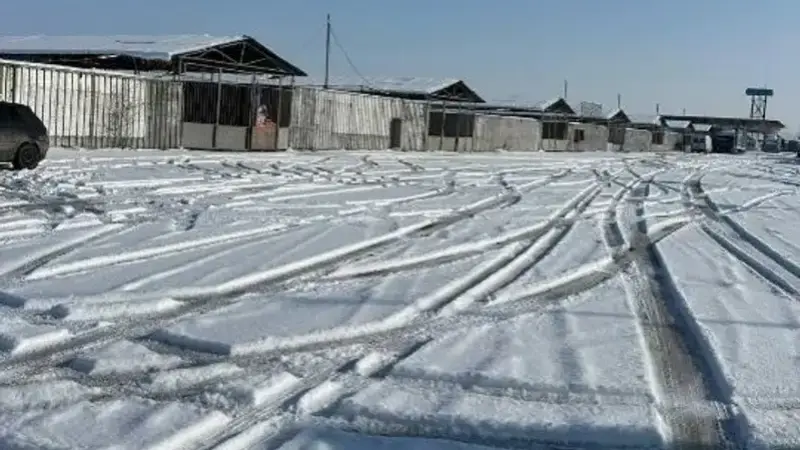 земли рынка назарбаева вернули в собственность казахстана