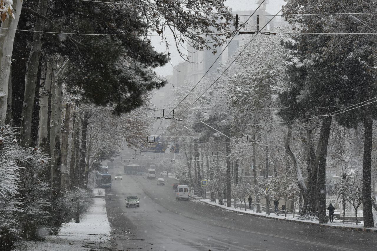 в алматы из-за снегопада были задержаны рейсы