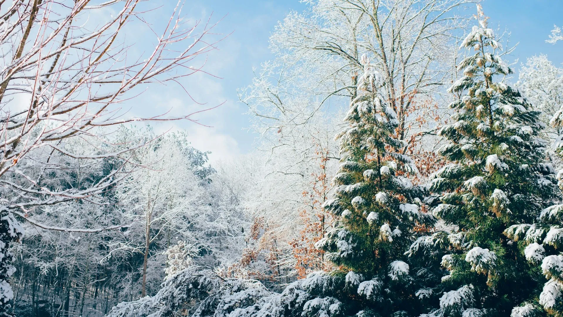 тепло на подходе: какую погоду ожидают в казахстане 5 марта 2024