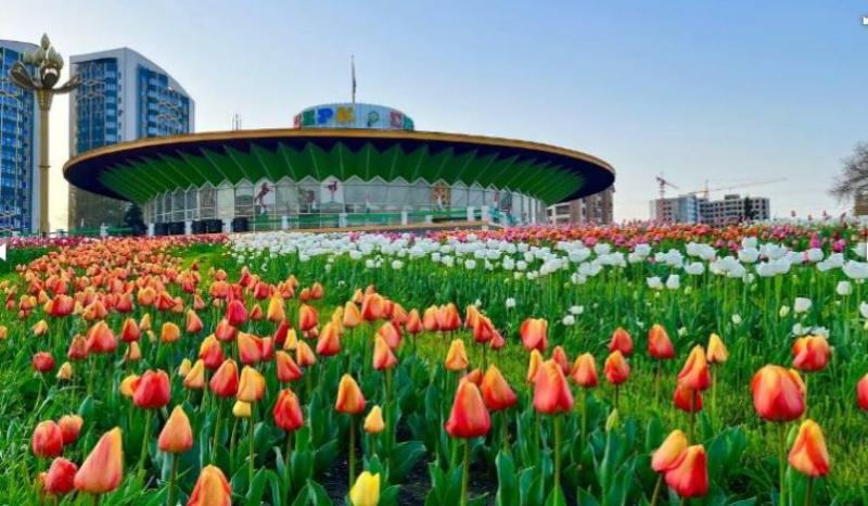 сильные дожди и грозы: погода в странах центральной азии в понедельник, 15 апреля 2024